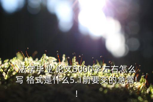 法學(xué)論文格式,中國法學(xué)論文格式
