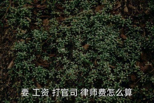 要 工資 打官司 律師費怎么算