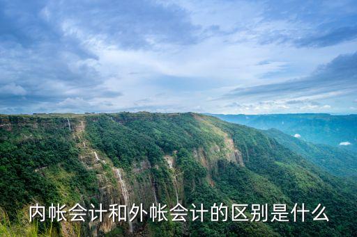 內帳會計和外帳會計的區(qū)別是什么