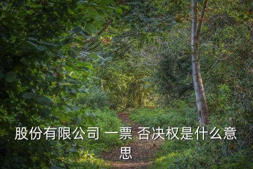 一票否決權(quán)