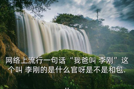 網(wǎng)絡上流行一句話“我爸叫 李剛”這個叫 李剛的是什么官呀是不是和包...