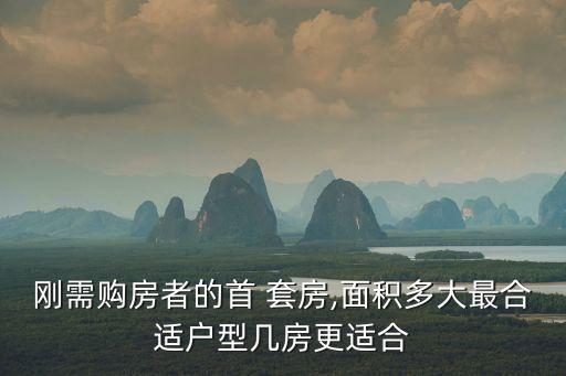 剛需購(gòu)房者的首 套房,面積多大最合適戶型幾房更適合