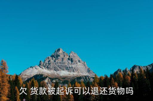 欠 貨款被起訴可以退還貨物嗎
