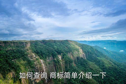 如何查詢 商標簡單介紹一下