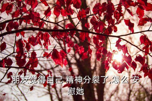 精神安慰,精神慰藉什么意思