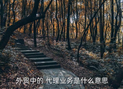 外貿(mào)公司代理