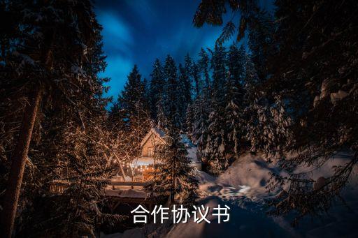  合作協(xié)議書