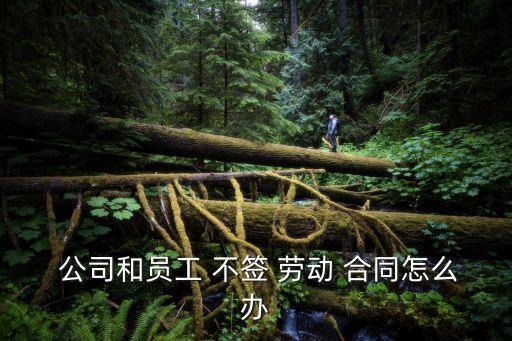 公司不簽勞動合同