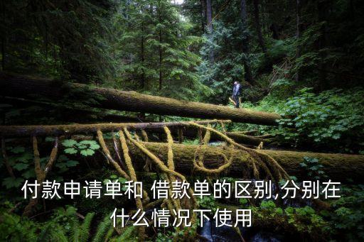 借款單
