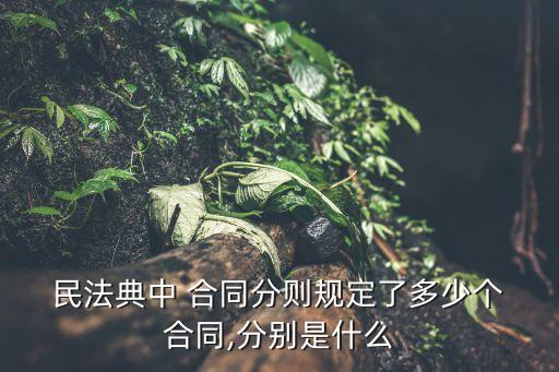 民法典合同編講解ppt
