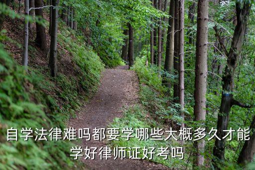 合同法律法規(guī)怎么考的,合同不符合法律法規(guī)有效嗎?