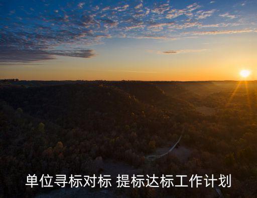 單位尋標對標 提標達標工作計劃