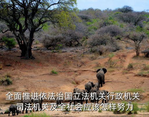落實(shí)司法責(zé)任制,各級司法機(jī)關(guān)全面落實(shí)司法責(zé)任制