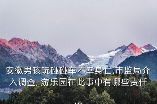 安徽男孩玩碰碰車(chē)不幸身亡,市監(jiān)局介入調(diào)查, 游樂(lè)園在此事中有哪些責(zé)任...