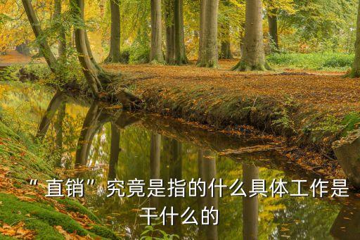 企業(yè)直銷