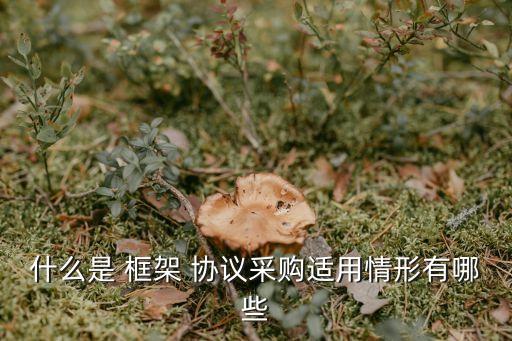什么是 框架 協(xié)議采購適用情形有哪些