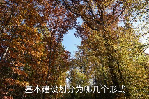 基本建設(shè)項(xiàng)目建設(shè)成本管理規(guī)定