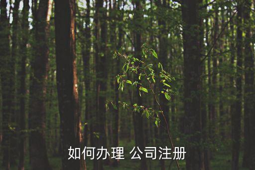 公司怎么申請