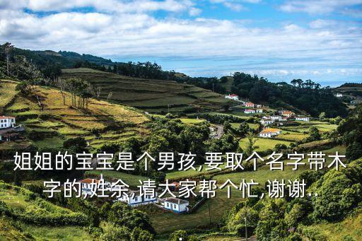姐姐的寶寶是個(gè)男孩,要取個(gè)名字帶木字的,姓余,請(qǐng)大家?guī)蛡€(gè)忙,謝謝...