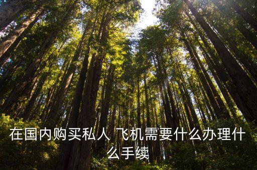 在國內(nèi)購買私人 飛機需要什么辦理什么手續(xù)