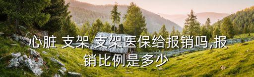 心臟支架手術(shù)費(fèi)用,2023年心臟支架手術(shù)費(fèi)用