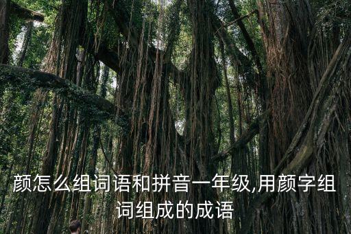 顏怎么組詞語(yǔ)和拼音一年級(jí),用顏?zhàn)纸M詞組成的成語(yǔ)