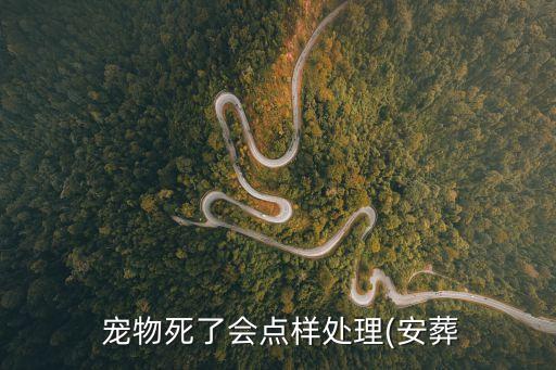 私人寵物,杭州名媛roses鯉鯉私人寵物