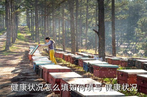 健康怎么寫,高中成長規(guī)劃身心健康怎么寫