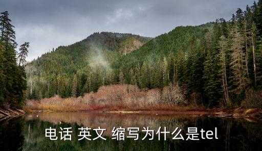 電話 英文 縮寫為什么是tel