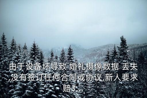 婚禮錄像丟失賠償幾倍,婚禮視頻素材丟失怎樣賠償