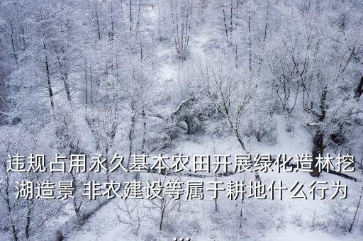 違規(guī)占用永久基本農(nóng)田開展綠化造林挖湖造景 非農(nóng)建設(shè)等屬于耕地什么行為...