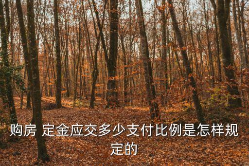 購房 定金應(yīng)交多少支付比例是怎樣規(guī)定的