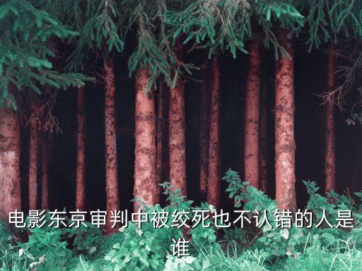二戰(zhàn)國(guó)際法庭中國(guó)法官,二戰(zhàn)后國(guó)際法庭審理戰(zhàn)犯