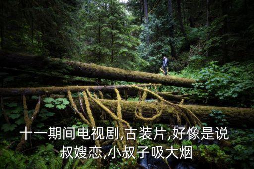 十一期間電視劇,古裝片,好像是說(shuō) 叔嫂戀,小叔子吸大煙