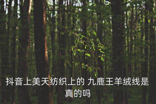 九鹿王