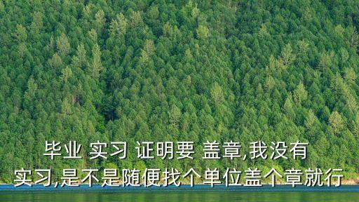 畢業(yè) 實(shí)習(xí) 證明要 蓋章,我沒有 實(shí)習(xí),是不是隨便找個(gè)單位蓋個(gè)章就行