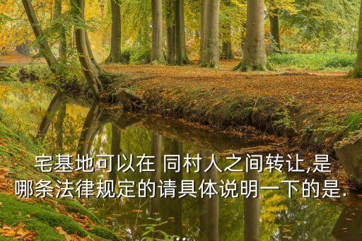  宅基地可以在 同村人之間轉(zhuǎn)讓,是哪條法律規(guī)定的請具體說明一下的是...