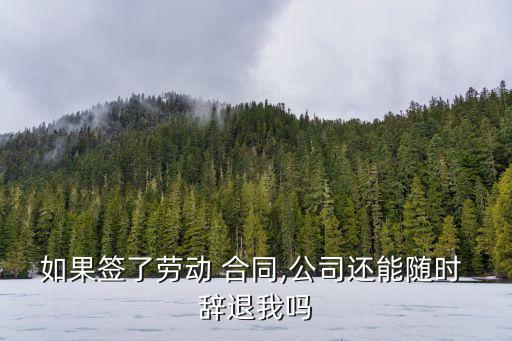 勞務(wù)合同可以直接辭退嗎,簽了勞務(wù)合同不想干了可以直接走嗎