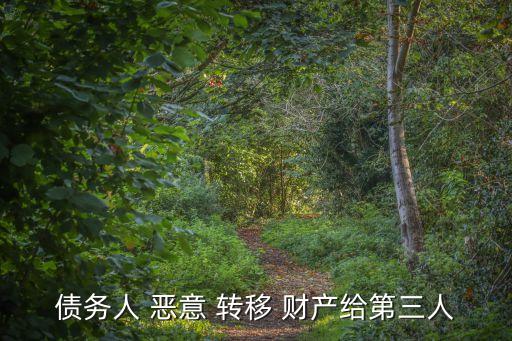 債務(wù)人 惡意 轉(zhuǎn)移 財(cái)產(chǎn)給第三人