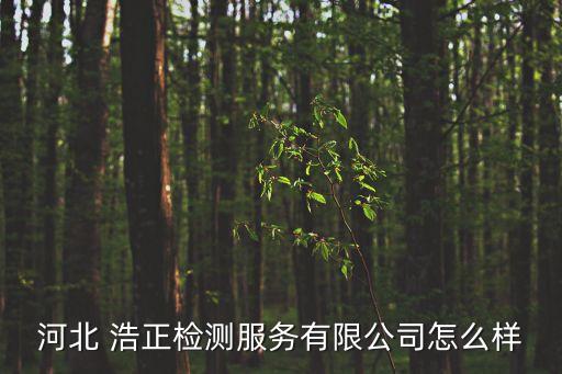 河北 浩正檢測服務(wù)有限公司怎么樣