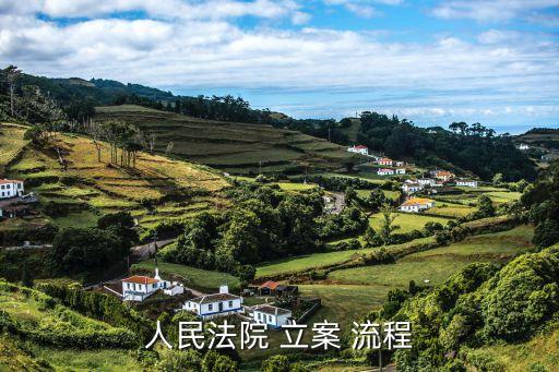 人民法院 立案 流程