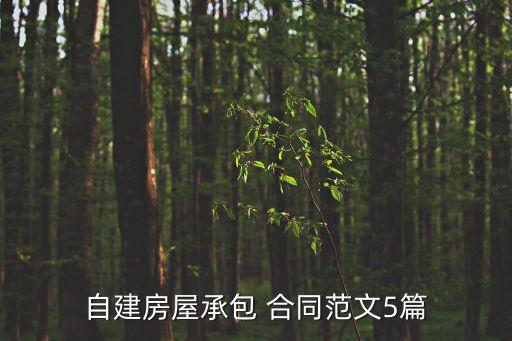 吊頂合同模板,集成吊頂合同