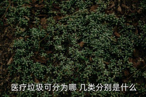 醫(yī)療廢物分哪幾類