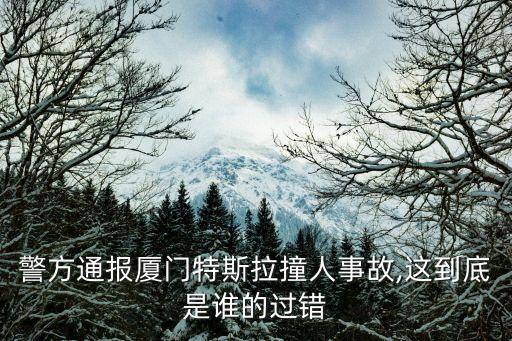 警方通報(bào)廈門(mén)特斯拉撞人事故,這到底是誰(shuí)的過(guò)錯(cuò)