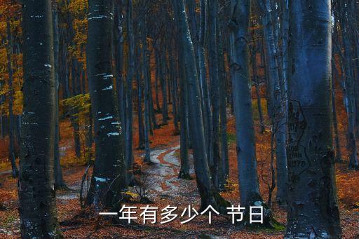  一年有多少個 節(jié)日