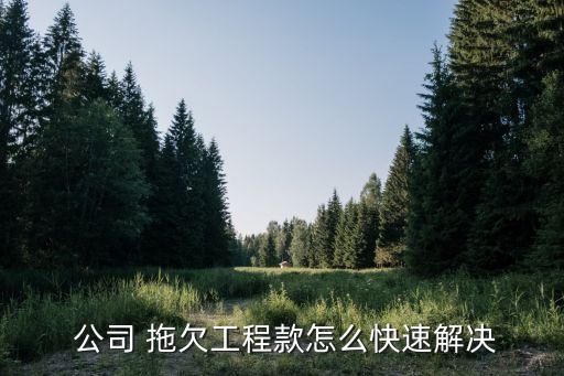  公司 拖欠工程款怎么快速解決