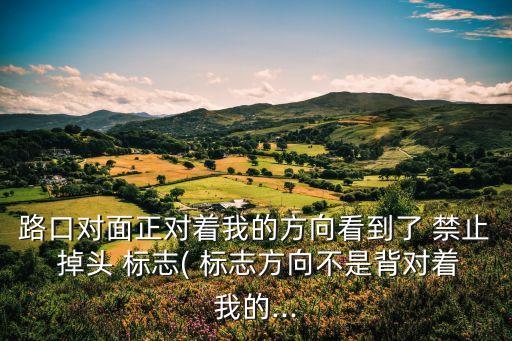路口對面正對著我的方向看到了 禁止 掉頭 標(biāo)志( 標(biāo)志方向不是背對著我的...