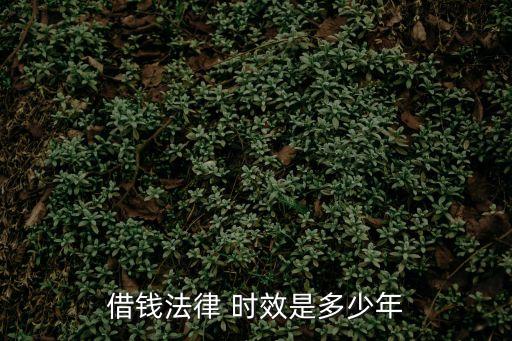借貸的訴訟時(shí)效幾年,欠債超過(guò)三年了還能起訴嗎