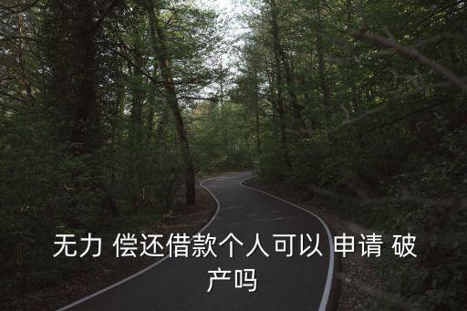 個(gè)人怎么申請(qǐng)破產(chǎn) 無(wú)力償還債務(wù),網(wǎng)貸太多如何債務(wù)重組