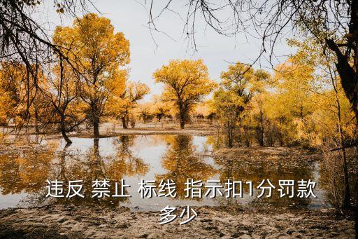 違反禁止標(biāo)線指示